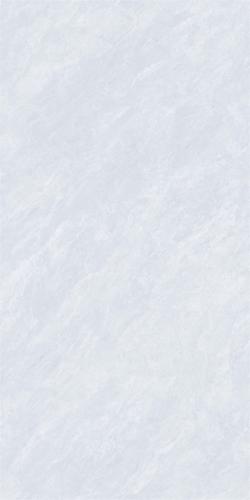 86HA821-PL