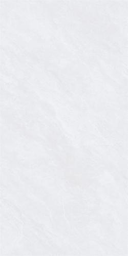 48HA821-PL