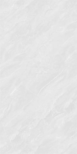 48HA955-PL