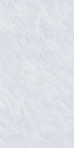 48HA881PL