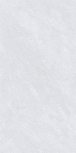48HA956-PL