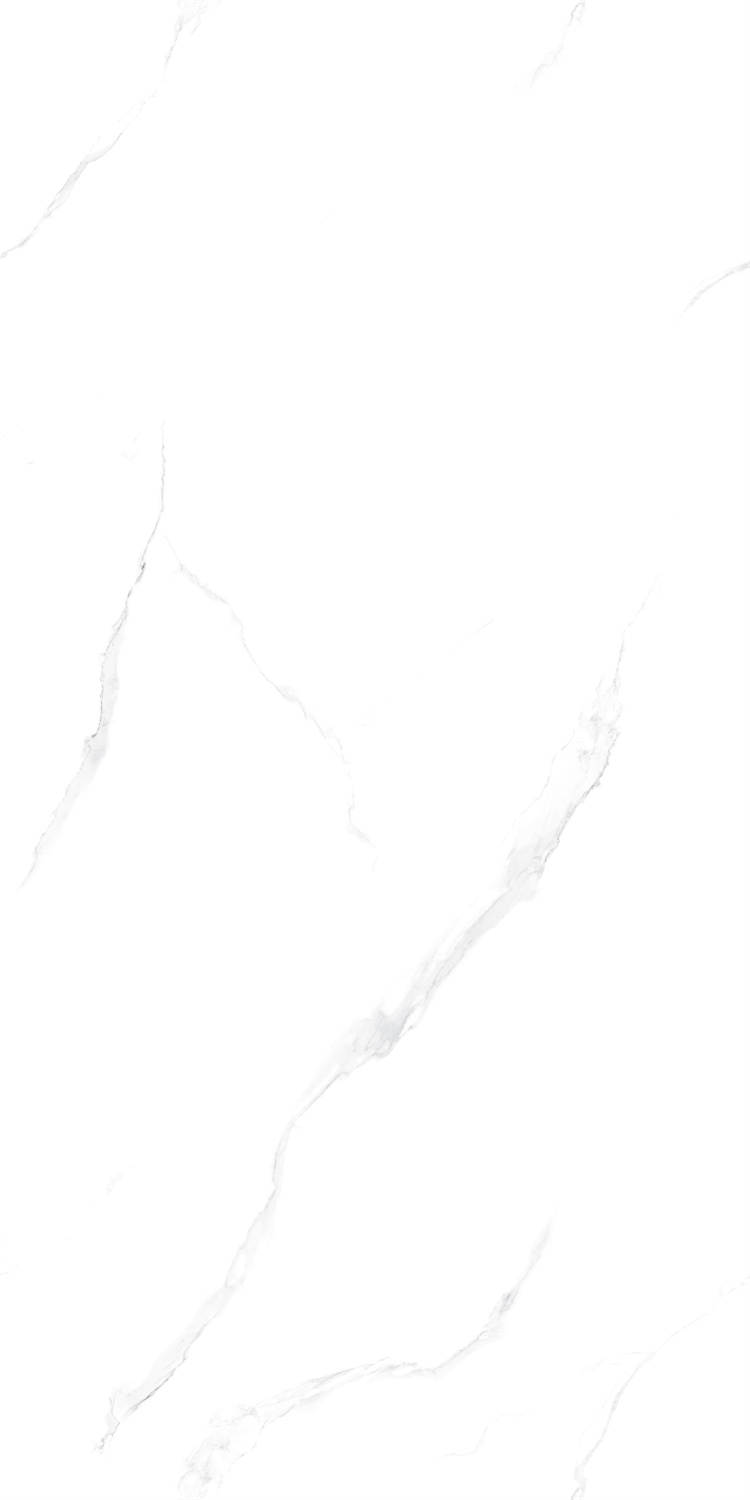 12HA112PL