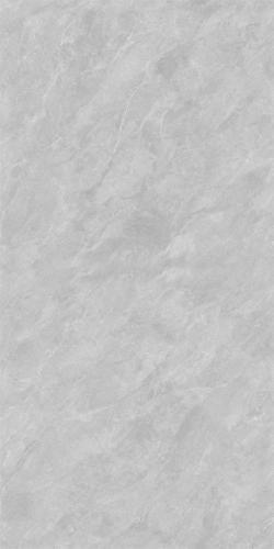 12HA836PL