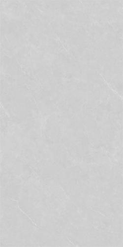 86HA1005GPL (3)