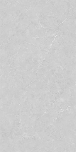 48HA602-PL (3)