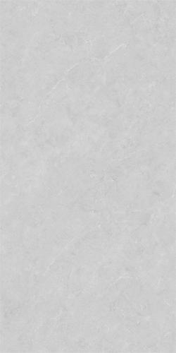 48HA602-PL (4)