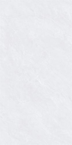 48HA821-PL-04