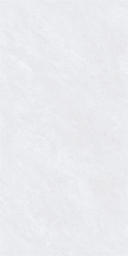 48HA821-PL-03
