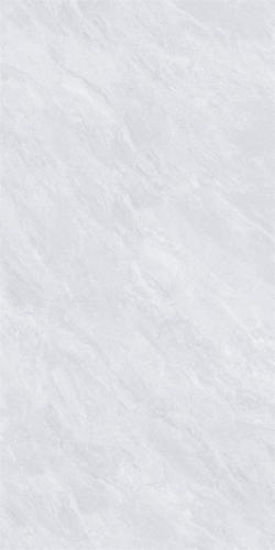 48HA881PL-02
