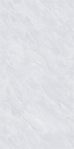 48HA881PL-04