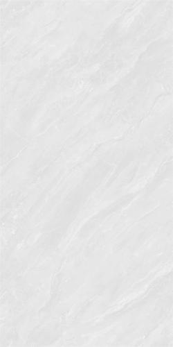 48HA955-PL-02
