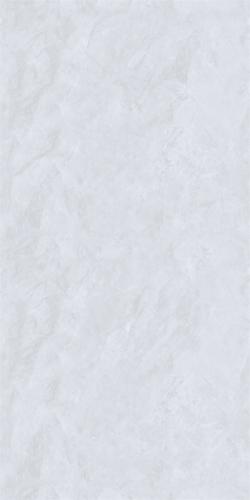75HA828CTPL (2)