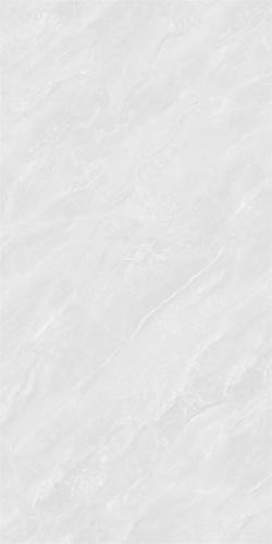 48HA955-PL-02