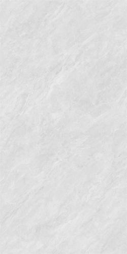 12HA956CTPL (3)
