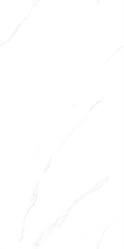 12HA112PL (4)