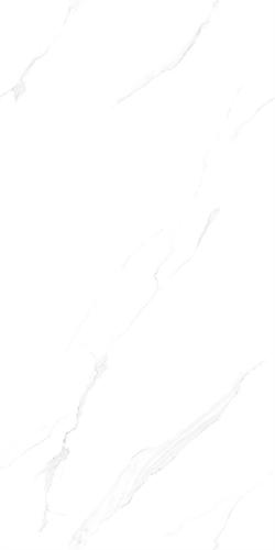 12HA112PL (3)