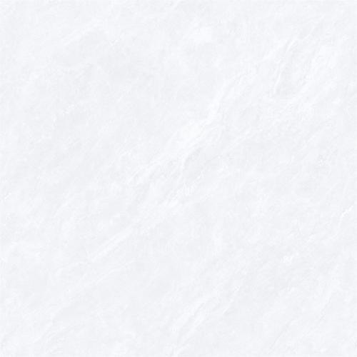 8HAU338PL (3)