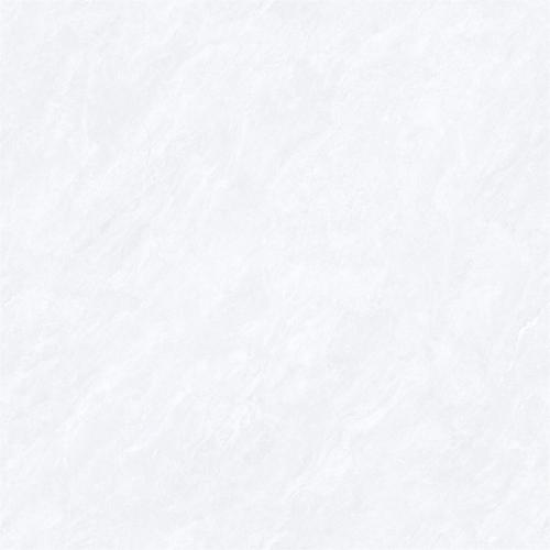 8HAU338PL (4)