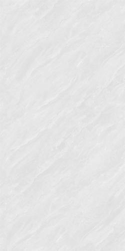12HAE955-PL (3)