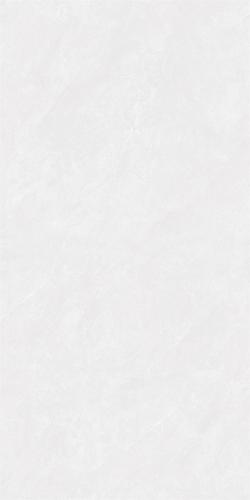 12HA827-PL-02