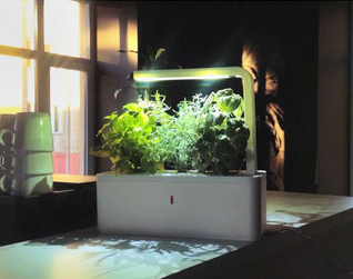 LED照明設計：居家智能型小花園