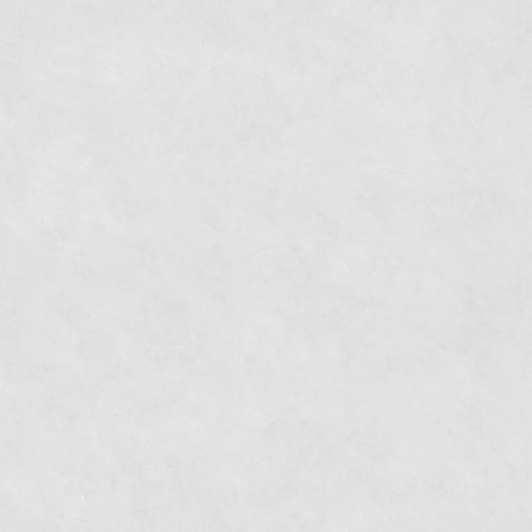 05.webp.jpg