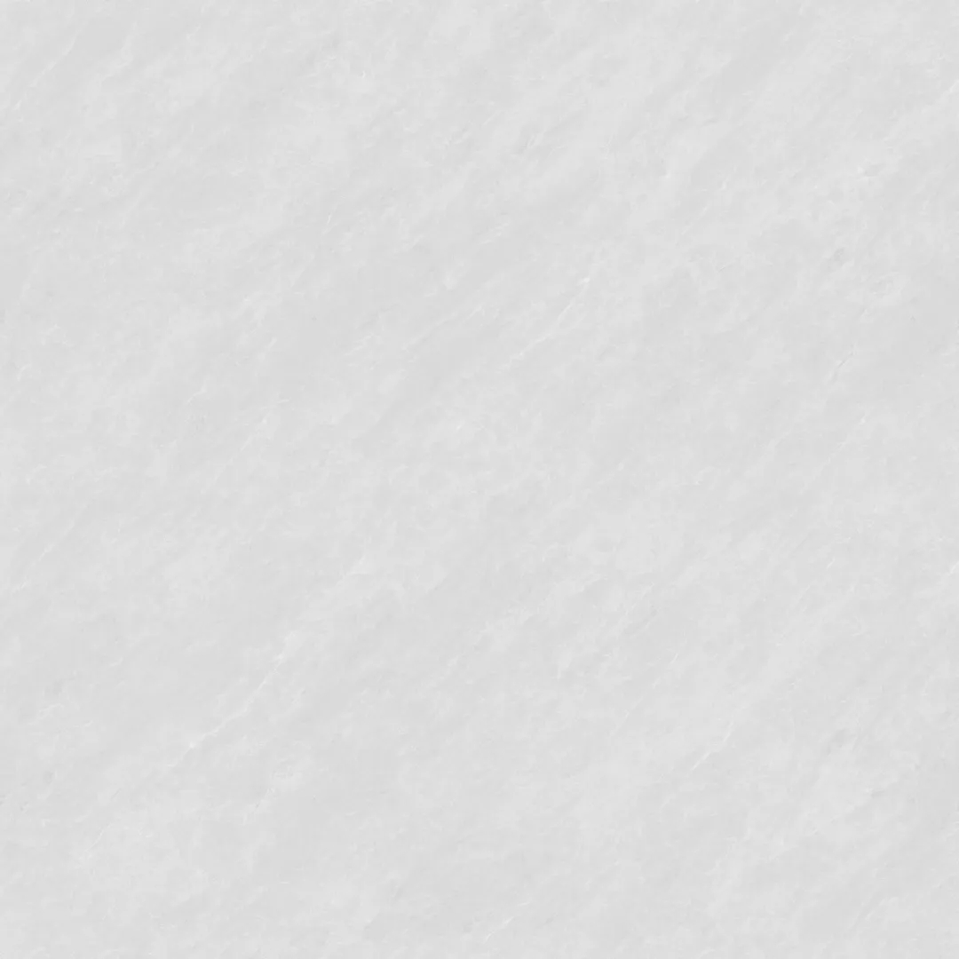 08.webp.jpg
